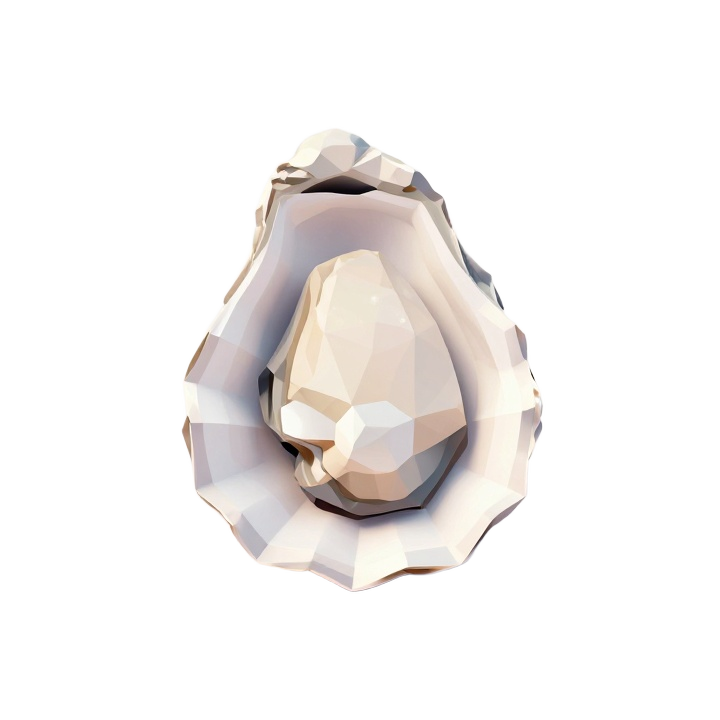 Elegant Low Poly Oyster Shell Decorative STL Sculpture