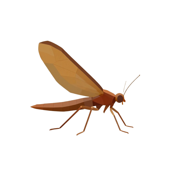 Elegant Low Poly Stonefly Side View STL Sculpture