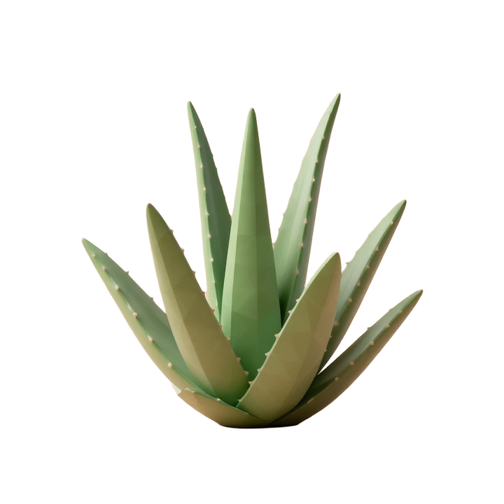 Low Poly Aloe Vera Plant STL with Elegant Arching Leaves