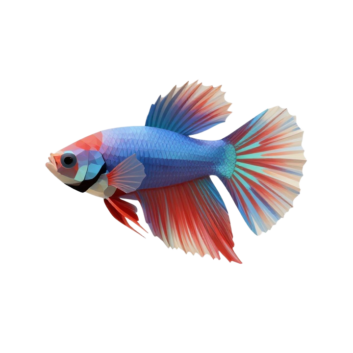 Low Poly Betta Fish STL Model with Flowing Fins and Upright Collectible Display Pose