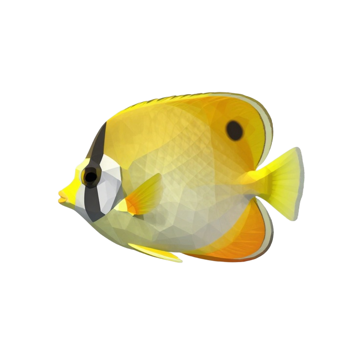 Low Poly Butterflyfish STL Model in Natural Side View Pose