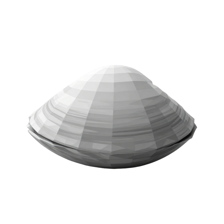 Low Poly Clam Shell STL Sculpture with Symmetrical Front View Form