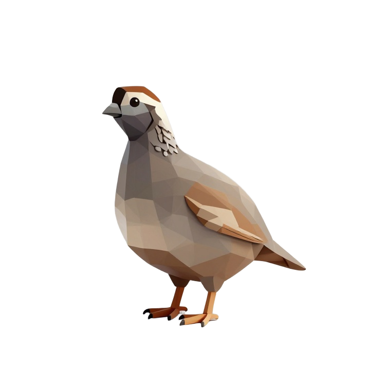 Low Poly Standing Quail STL Model with Rounded Form and Clean Geometric Detail