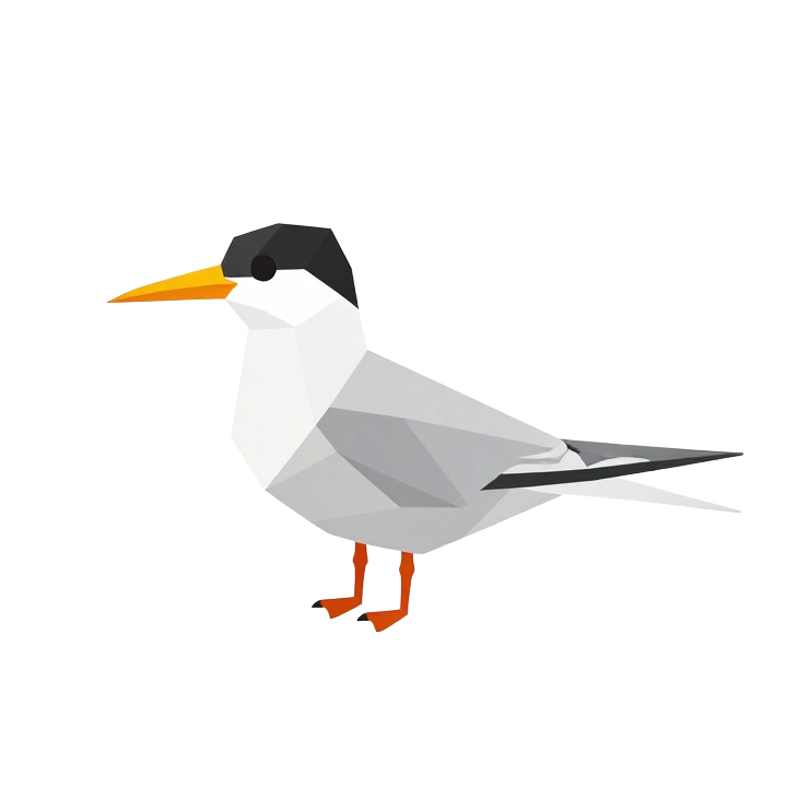 Low Poly Tern Bird STL Model, Front View Decorative Coastal Figurine