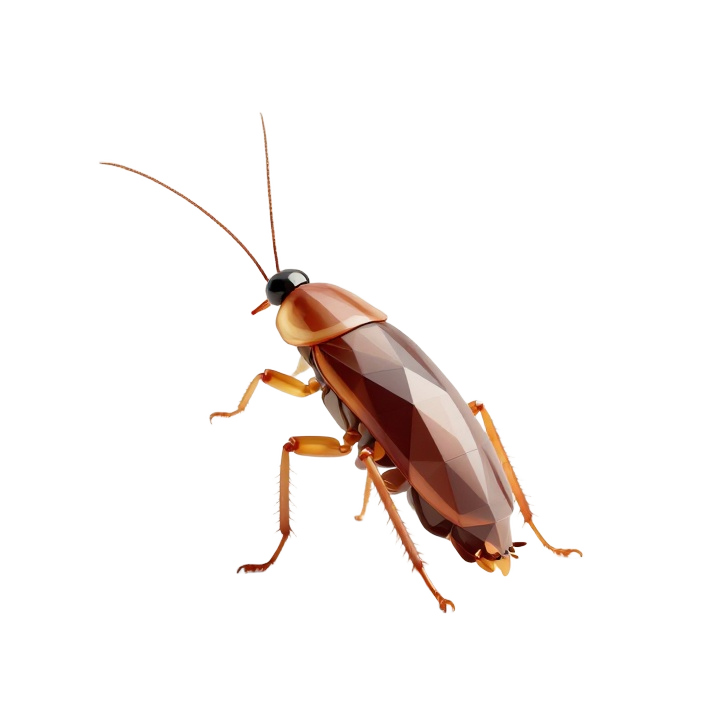 Modern Low Poly Cockroach STL Sculpture in Elegant Side View Pose
